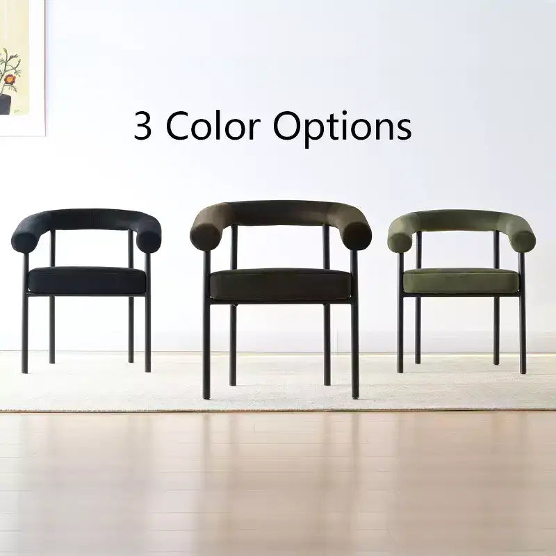 Lot de 4 Chaises de Salle à Manger en Velours Rembourré avec Accoudoirs, Chaises de Cuisine Modernes à Dossier Courbé, Fauteuil de Salle à Manger - Panipeachy