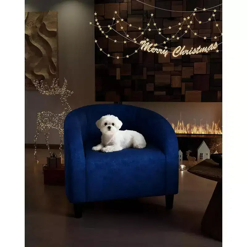 Fauteuils d'appoint (lot de 2) - Fauteuils club confortables, fauteuils baquet rembourrés avec accoudoirs et pieds solides pour salon, chambre, bureau, salle d'attente