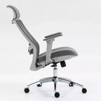Chaise de bureau ergonomique TUYOHW avec dossier haut en maille, inclinable à 120° et pivotante à 360°, chaise d'ordinateur à base en nylon avec roulettes, hauteur réglable
