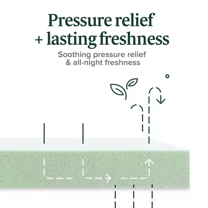 Matelas ZINUS en mousse à mémoire de forme au thé vert, 20 cm, une place, sans fibre de verre, fermeté moyenne, soulagement de la pression ciblé, mousses et tissus certifiés sans substances nocives