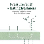 Matelas ZINUS en mousse à mémoire de forme au thé vert, 20 cm, une place, sans fibre de verre, fermeté moyenne, soulagement de la pression ciblé, mousses et tissus certifiés sans substances nocives