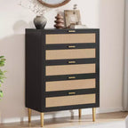 Acekool Commode à 5 tiroirs en rotin avec pieds dorés, meuble haut pour chambre et salon