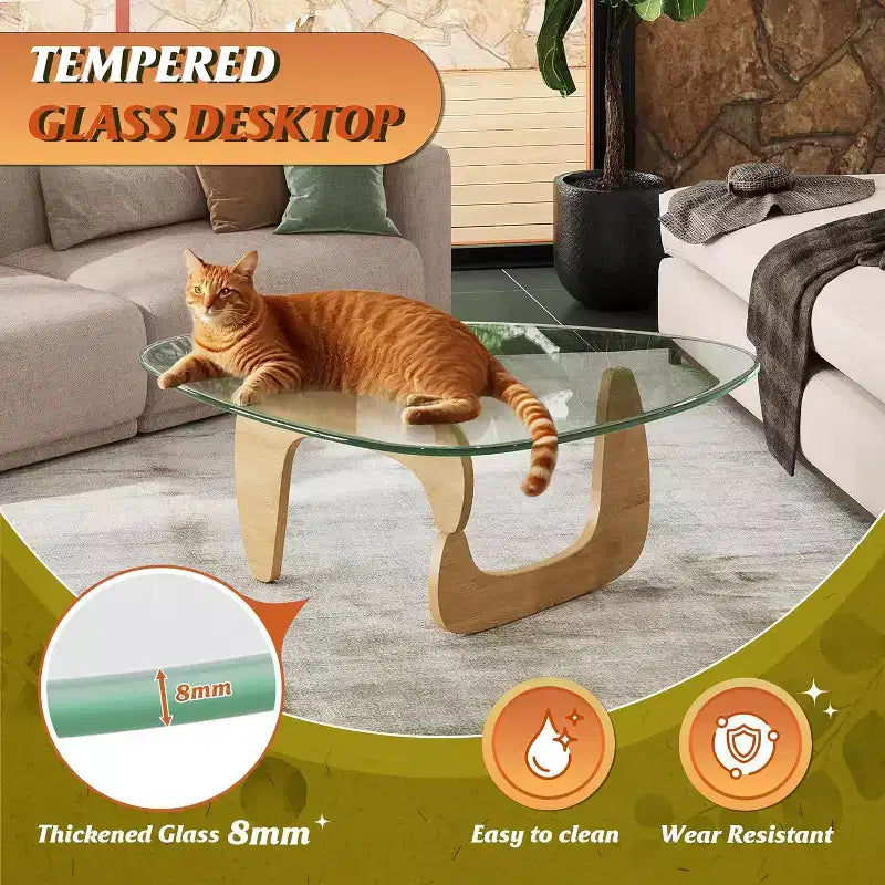 DEXYLLO Table Basse, Petite Table Basse en Verre avec Pieds en Bois Massif, 36 Tables de Salon Triangulaires Mid-Century