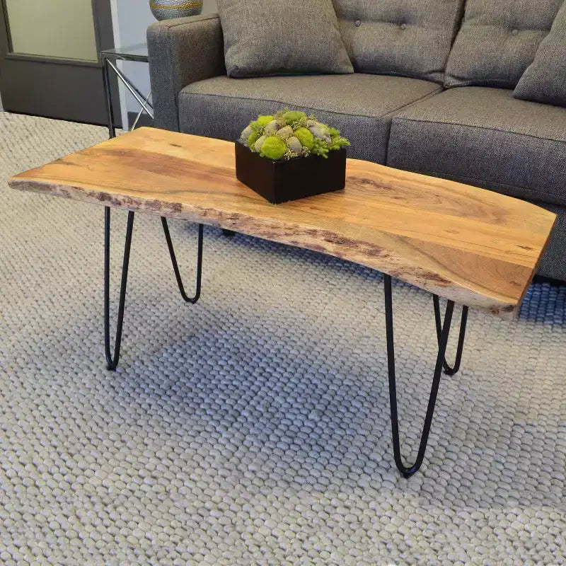 Table basse/Banc Carolina Living Langdon à bord vif