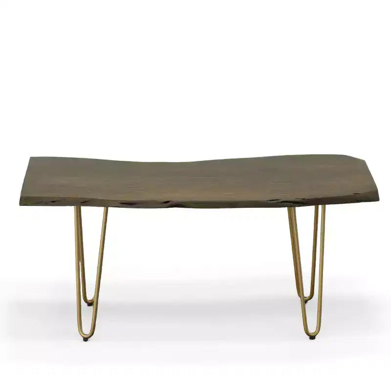 Table basse/Banc Carolina Living Langdon à bord vif