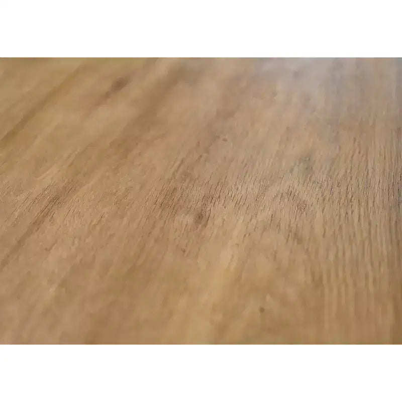 Bureau Martin Furniture Mason, finition bois laminé, à hauteur réglable électrique